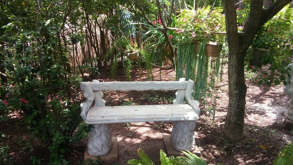 Pousada Dos Henriques Hotel Lencois Ngoại thất bức ảnh